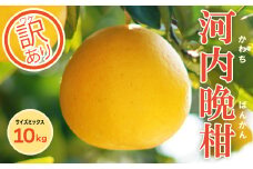 訳あり 河内晩柑 10kg 樫元園 晩柑 愛南ゴールド みかん 蜜柑 グレープフルーツ 文旦 柑橘 果物 フルーツ 国産 愛媛 愛南 発送期間：2024年4月1日～6月30日 (なくなり次第終了)