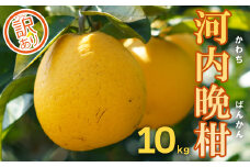 【先行予約】果樹園みどりの河内晩柑10kg（訳ありミックス）発送期間: 4月1日～7月中旬まで (なくなり次第終了)