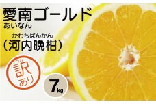 訳あり 愛南ゴールド 7kg 7000円 （発送期間：5月10日～無くなり次第終了） みかん かわちばんかん 河内晩柑 あいなん ゴールド 美生柑 文旦 グレープフルーツ 和製 家庭用 先行 事前 予約 受付 産地直送 国産 農家直送 糖度 果樹園 期間限定 数量限定 特産品 ゼリー ジュース 人気 限定 さわやか 甘い フルーツ 果物 柑橘 蜜柑 規格外 愛媛県 愛南町 吉田さんちの愛南ゴールド