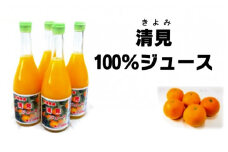 フルーツアイランド・マルエム直販の清見ストレートジュース720ml×4本