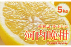 フルーツアイランド・マルエム直販の愛南産の河内晩柑 約5kg 柑橘 フルーツ 果物 蜜柑 みかん くだもの mikan かわち ばんかん かんきつ 和製 グレープフルーツ 愛南ゴールド デザート 果実 果汁 甘い ジューシー おいしい 特産品 国産 農園 直送 産地 直送 愛媛県 愛南町