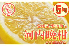 訳あり フルーツアイランド・マルエム直販の愛南産の河内晩柑 約5kg 柑橘 フルーツ 果物 蜜柑 みかん くだもの mikan 家庭用 傷 不揃い  サイズミックス かわち ばんかん かんきつ 和製 グレープフルーツ 愛南ゴールド デザート 果実 果汁 甘い ジューシー おいしい 特産品 国産 農園 直送 産地 直送 愛媛県 愛南町