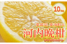 フルーツアイランド・マルエム直販の愛南産の河内晩柑 約10kg 柑橘 フルーツ 果物 蜜柑 みかん くだもの mikan かわち ばんかん かんきつ 和製 グレープフルーツ 愛南ゴールド デザート 果実 果汁 甘い ジューシー おいしい 特産品 国産 農園 直送 産地 直送 愛媛県 愛南町