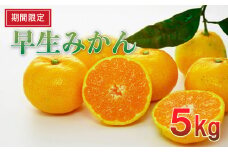 【期間限定】早生みかん 5kg