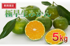 【期間限定】極早生みかん 5kg 
