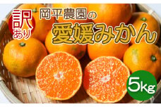 訳あり 愛媛みかん 5kg 温州 早生 みかん フルーツ 果物 柑橘 甘い 国産 健康 ビタミン 美容 健康 サイズミックス 人気 おすすめ 農家直送 産地直送 農家 温州みかん 冬 こたつ 家族 数量限定 愛媛 愛媛県 愛南町 岡平農園 発送期間: 2024年11月1日～(なくなり次第終了)
