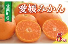 数量限定 先行予約 愛媛みかん 5kg 10000円 温州みかん こたつ みかん mikan 蜜柑 ミカン 国産 期間限定 特産品 ギフト プレゼント お歳暮 産地直送 農家直送 人気 限定 甘い フルーツ 果物 柑橘 おいしい 小玉 含む おいしい 岡平農園 愛南町 愛媛県