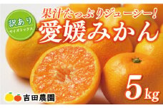 先行予約 訳あり 愛媛みかん 5kg 10000円 愛媛 みかん 温州みかん こたつ みかん mikan 蜜柑 ミカン 家庭用 産地直送 国産 農家直送 糖度 期間限定 数量限定 特産品 ゼリー ジュース アイス 人気 限定 甘い フルーツ 果物 柑橘 先行 事前 予約 受付 ビタミン 美味しい おいしい サイズ ミックス 吉田農園 愛南町 愛媛県