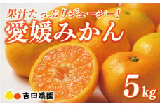 先行予約 愛媛みかん 5kg 13000円 愛媛 みかん 温州みかん こたつ みかん mikan 蜜柑 ミカン 家庭用 贈答用 ギフト プレゼント お歳暮 産地直送 国産 農家直送 糖度 期間限定 数量限定 特産品 ゼリー ジュース アイス 人気 限定 甘い フルーツ 果物 柑橘 先行 事前 予約 受付 ビタミン 美味しい おいしい 吉田農園 愛南町 愛媛県