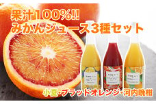 【 先行予約 】 果汁 100% みかん ストレート ジュース 720ml 3種 セット 小夏 ブラッドオレンジ 河内晩柑 期間限定 数量限定 高級 贈答 ギフト プレゼント  先行 事前 予約 17000円 母の日 愛南 愛媛 国産 フルーツ 果物 柑橘 産地直送 農家直送 特産品 完熟 濃厚 人気 限定 甘い ジューシー 新鮮 果実 さわやか 果樹園みどり