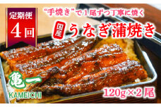 定期便 4回 うなぎ 蒲焼 約120g 2本 手焼き 鰻 タレ セット うな重 ひつまぶし うな丼 鰻丼 う巻き  蒲焼き 蒲焼 かばやき わさび 山葵 山椒 さんしょう ギフト 贈答 丑の日 冷凍 海鮮 愛媛 愛媛県 愛南町 亀一