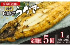 定期便 5回 うなぎ 白焼 約120g 1本 手焼き 鰻 タレ セット うな重 ひつまぶし うな丼 鰻丼 う巻き  蒲焼き 蒲焼 かばやき わさび 山葵 山椒 さんしょう ギフト 贈答 丑の日 冷凍 海鮮 愛媛 愛媛県 愛南町 亀一