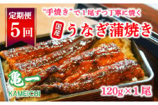 定期便 5回 うなぎ 蒲焼 約120g 1本 手焼き 鰻 タレ セット うな重 ひつまぶし うな丼 鰻丼 う巻き  蒲焼き 蒲焼 かばやき わさび 山葵 山椒 さんしょう ギフト 贈答 丑の日 冷凍 海鮮 愛媛 愛媛県 愛南町 亀一