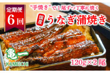 定期便 6回 うなぎ 蒲焼 約120g 2本 手焼き 鰻 タレ セット うな重 ひつまぶし うな丼 鰻丼 う巻き  蒲焼き 蒲焼 かばやき わさび 山葵 山椒 さんしょう ギフト 贈答 丑の日 冷凍 海鮮 愛媛 愛媛県 愛南町 亀一