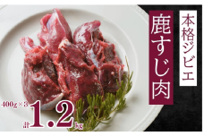 ジビエ 鹿 しか すじ 肉 1.2kg 低カロリー 低脂質 高たんぱく ヘルシー 鉄分 煮込み パスタ ソース 冷凍 ジビエ 肉 イノシシ ミート ロース 9000円 健康 ヘルシー 高タンパク質 低脂肪 天然 希少 焼肉 焼肉丼 すじ煮込み 栄養満点 野生 冷凍 パック 愛南ジビエ 料理 煮込み 焼き 揚げ 愛媛県 愛南町