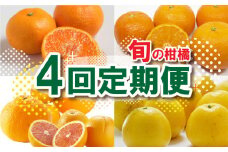 定期便 4回 4ヶ月 柑橘 かんきつ フルーツ 果物 愛媛 みかん ポンカン 不知火 しらぬい ネーブルオレンジ なつみ ブラッドオレンジ 河内晩柑 愛南 ゴールド  数量 季節 限定 旬 セット 詰め合わせ 国産 