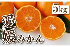 愛媛 みかん 蜜柑 5kg 8000円 みかん 蜜柑 オレンジ 愛媛 温州みかん こたつ みかん 蜜柑 ミカン 産地直送 国産 農家直送 糖度 期間限定 数量限定 特産品 ギフト 贈答 取り寄せ プレゼント ゼリー ジュース アイス 人気 限定 甘い フルーツ 果物 柑橘 ビタミン 美味しい おいしい 美容 健康 国産 愛媛県 愛南町 ひなたのみかん
