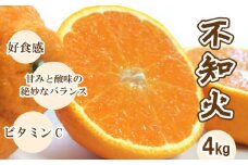 不知火 しらぬい 柑橘 フルーツ 果物 くだもの 贈答 ギフト 季節 旬 デザート スイーツ お菓子 ご当地 国産 愛媛 愛南
