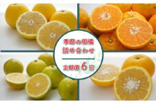 定期便 6回 季節 柑橘詰め合わせ 第一マルエム 減農薬 はるか 御荘ゴールド ジュース レモン かぶす ゆず あまか ポンカン 伊予柑 ネーブル 文旦 新女王 黄金柑 清見 甘夏 河内晩柑 タロッコ レモネード 愛媛県 愛南町