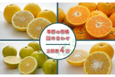 定期便 4回 季節 柑橘 詰め合わせ 第一マルエム 減農薬 はるか あまか ポンカン 伊予柑 ネーブル 文旦 新女王 黄金柑 清見 甘夏 御荘ゴールド 河内晩柑 タロッコ レモネード 愛媛県 愛南町