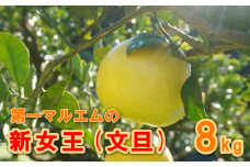 先行予約 文旦 新女王 秀品 8kg 柑橘 フルーツ 熟成 第一マルエム 愛媛みかん ポンカン 文旦 河内晩柑 温州みかん ブラッド オレンジ ネーブル せとか なつみ 蜜柑 みかん 檸檬 果物 果実 ジューシー 数量限定 さっぱり 愛媛県 愛南町