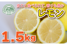 レモン 約 1.5kg 12個 檸檬 フルーツ 果物 くだもの 柑橘 国産 新鮮 減農薬 ノンワックス 防腐剤 不使用 ビタミンC 美容 美肌 健康 皮ごと 牡蠣 かき 魚 さかな 肉 にく スイーツ パスタ みかん 蜜柑  愛媛県 愛南町