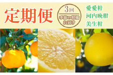 定期便 3回 3ヶ月 ポンカン 美生柑 河内晩柑  柑橘 みかん 蜜柑 みしょうかん フルーツ 果物 くだもの ばんかん かんきつ ゼリー ジュース アイス マーマレード 旬 季節 限定 贈答 ギフト mikan ジューシー サラダ ピール 厳選 国産 愛媛 ご当地ブランド 愛媛県 愛南町 フルーツアイランド･マルエム直販
