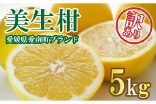 先行予約 訳あり 美生柑 みしょうかん 約 5kg 河内晩柑 不揃い サイズミックス 傷あり ばんかん フルーツ 果物 くだもの 文旦 晩生柑 厳選 愛媛 みかん 蜜柑 mikan 愛南 ご当地 ブランド 国産 産地 直送 ゼリー マーマレード デザート フルーツアイランド マルエム直販 愛媛県 愛南町【お届け期間:2025年3月1日～5月下旬】  (なくなり次第終了)