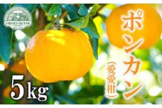 先行予約 ポンカン 約5kg 愛愛柑  みかん 蜜柑 オレンジ 温州みかん 文旦 河内晩柑 デコポン 不知火  レモン 果物 くだもの 果実 柑橘 フルーツ 果汁 ゼリー ジュース お菓子 ケーキ スイーツ 甘い ジューシー ビタミン 美容 健康 ブランド 国産 産直 糖度 フルーツアイランド マルエム直販 愛媛県 愛南町