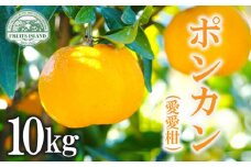 先行予約 ポンカン 約10kg 愛愛柑  みかん 蜜柑 オレンジ 温州みかん 文旦 河内晩柑 デコポン 不知火  レモン 果物 くだもの 果実 柑橘 フルーツ 果汁 ゼリー ジュース お菓子 ケーキ スイーツ 甘い ジューシー ビタミン 美容 健康 ブランド 国産 産直 糖度 フルーツアイランド マルエム直販 愛媛県 愛南町