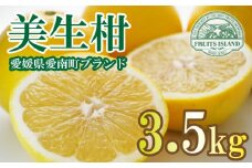 先行予約 贈答用 美生柑 みしょうかん 約 3.5kg 河内晩柑 贈答 ギフト プレゼント 正規品 ばんかん フルーツ 果物 果実 くだもの 夏文旦 晩生柑 厳選 愛媛 みかん 蜜柑 mikan 愛南 ご当地 ブランド 母の日 国産 産地 直送 ゼリー マーマレード デザート フルーツアイランド マルエム直販 愛媛県 愛南町 2025年3月1日～5月下旬 (なくなり次第終了)