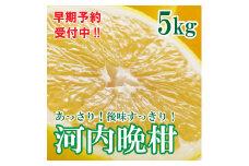 河内晩柑 ばんかん 約 5kg 家庭 柑橘 かんきつ フルーツ 果物 くだもの 厳選 愛媛 みかん 蜜柑 愛南 ご当地 ブランド 野菜 サラダ ピール ゼリー お菓子 デザート マルエム直販 (なくなり次第終了)