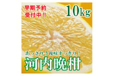 河内晩柑 ばんかん 約 10kg 家庭 柑橘 かんきつ フルーツ 果物 くだもの 厳選 愛媛 みかん 蜜柑 愛南 ご当地 ブランド 野菜 サラダ ピール ゼリー お菓子 デザート マルエム直販 (なくなり次第終了)
