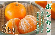 先行予約 ポンカン 5kg みかん 蜜柑 オレンジ 温州みかん 文旦 河内晩柑 デコポン 不知火 レモン ぽんかん ブラッドオレンジ ネーブル 愛媛みかん 果物 くだもの 果実 柑橘 かんきつ mikan フルーツ ゼリー ジュース 甘い ジューシー ビタミン 美容 健康 お菓子 スイーツ ケーキ マーマレード 特産品 国産 産直 ひなたのみかん 愛媛県 愛南町