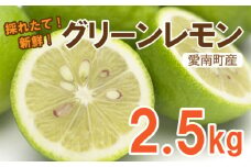 グリーン レモン 檸檬 2.5kg フルーツ 果物 くだもの 贈答 ギフト ビタミンC クエン酸 疲労 回復 ストレス 解消 免疫力 向上 大容量 国産 産直 皮ごと 丸ごと 愛媛 愛南