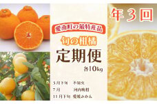 定期便 3回 10kg 柑橘 かんきつ 旬 愛媛 みかん 蜜柑 河内晩柑 ばんかん 不知火 しらぬい くだもの 果物 フルーツ 温州 お菓子 スイーツ 愛南