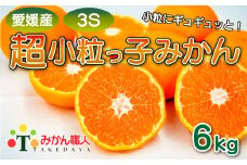 愛媛 みかん 小粒 6kg みかん職人武田屋 超小粒っ子 光センサー 減農薬 蜜柑 柑橘 果物 フルーツ 小玉 3S 愛媛県 発送期間:9月下旬～12月31日
