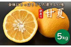先行予約 訳あり 減農薬 甘夏 5kg 愛南フルーツ サイズミックス サイズ混合 不揃い 柑橘 蜜柑 愛媛 みかん あまなつ 産地 産直 発送期間：2024年2月20日～ 4月20日