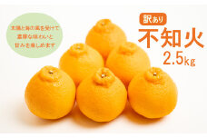先行予約 訳あり 減農薬 不知火 2.5kg 7000円 サイズミックス サイズ混合 不揃い 柑橘 かんきつ 蜜柑 愛媛 みかん 温州 みかん 清見 オレンジ ポンカン デコポン mikan 国産 こくさん 果物 くだもの フルーツ デザート ジュース 果実 果汁 甘い ジューシー 濃厚 おいしい 産地 直送 産直 特産品 愛媛県 愛南町 愛南フルーツ 発送期間：2025年3月中旬～4月中旬