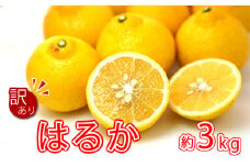 先行予約 訳あり はるか 3kg 5000円 みかん mikan 蜜柑 わけあり ミカン 家庭用 少量 お試し 産地直送 国産 農家直送 糖度 期間限定 数量限定 特産品 ゼリー ジュース アイス 人気 限定 甘い 果実 果肉 フルーツ 果物 柑橘 先行 事前 予約 受付 ビタミン 健康 美味しい おいしい ジューシー 不揃い 減農薬 サイズ ミックス あいなんマザーズ 愛南町 愛媛県