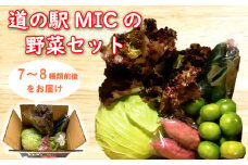 旬の野菜 セット 7～8種類前後 野菜 サラダ 新鮮 葉物 根菜 香味 定番野菜 愛媛 愛南