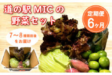定期便 6回 旬の野菜セット 7～8種類前後 野菜 サラダ 新鮮 葉物 根菜 香味 定番野菜 愛媛 愛南