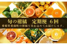 【2025年11月～】定期便 全6回 旬の柑橘 食べ比べ  家庭用 訳あり レモン 愛媛みかん ポンカン 文旦 河内晩柑 温州みかん ブラッド オレンジ ネーブル せとか なつみ 蜜柑 みかん 檸檬 果物 果実 柑橘 フルーツ 大きさ 不揃い 傷 愛媛県 愛南町 清家ばんかんビレッジ				