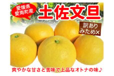 【先行予約】訳あり 土佐文旦 5kg【発送期間 3月】 季節限定 限定品 みかん 蜜柑 柑橘 かんきつ 家庭用 訳あり わけあり 大きさ 土佐 文旦 冬 旬 高知県 宿毛市 隣接 農家 農園 老舗  不揃い サイズミックス フルーツ 果物 くだもの 柑橘 愛媛県 愛南町 清家ばんかんビレッジ 