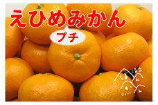愛媛県産 小玉 みかん 優品 s ～ ss 5kg 清家ばんかんビレッジ 愛媛みかん 温州みかん ギフト 贈答 柑橘 蜜柑 オレンジ 果物 フルーツ 蜜柑 発送期間: 2023年11月5日～2024年1月25日