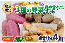 【2月お届け】 3種の野菜 詰め合わせ セット 4kg さつまいも しょうが 里芋 3種類 各月50セット限定