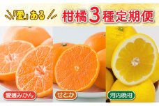 【先行受付】 【50セットのみ】全3回 愛ある柑橘3種 定期便 Ａセット 愛媛みかん せとか 河内晩柑 みかん くだもの 果物 果実 フルーツ ビタミン ジュース ジャム アイス 国産 和製 グレープフルーツ 高級 柑橘 愛媛県 愛南町 フジ・アグリフーズ