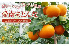 果樹園みどり 愛南 まどんな 4.5kg 家庭用ミックス 発送期間: 12月1日～