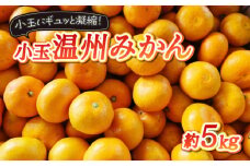 ご家庭用 小玉温州みかん 5kg  みかん 蜜柑 温州 オレンジ 柑橘 果物 フルーツ 愛媛 愛南 発送: 2023年10月上旬～12月15日