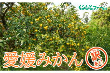 【訳あり】くらもとファームのえひめみかん mix 10kg 発送期間:12月1日～2月上旬